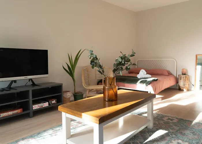 Studio Cabin In Belfast